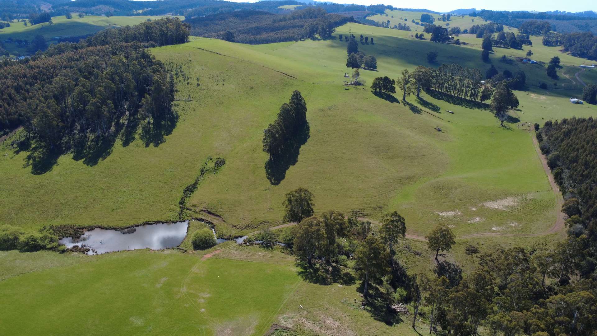Lot 1,  Dawkins Road, Beulah For Sale by Farmbuy.com - image 5