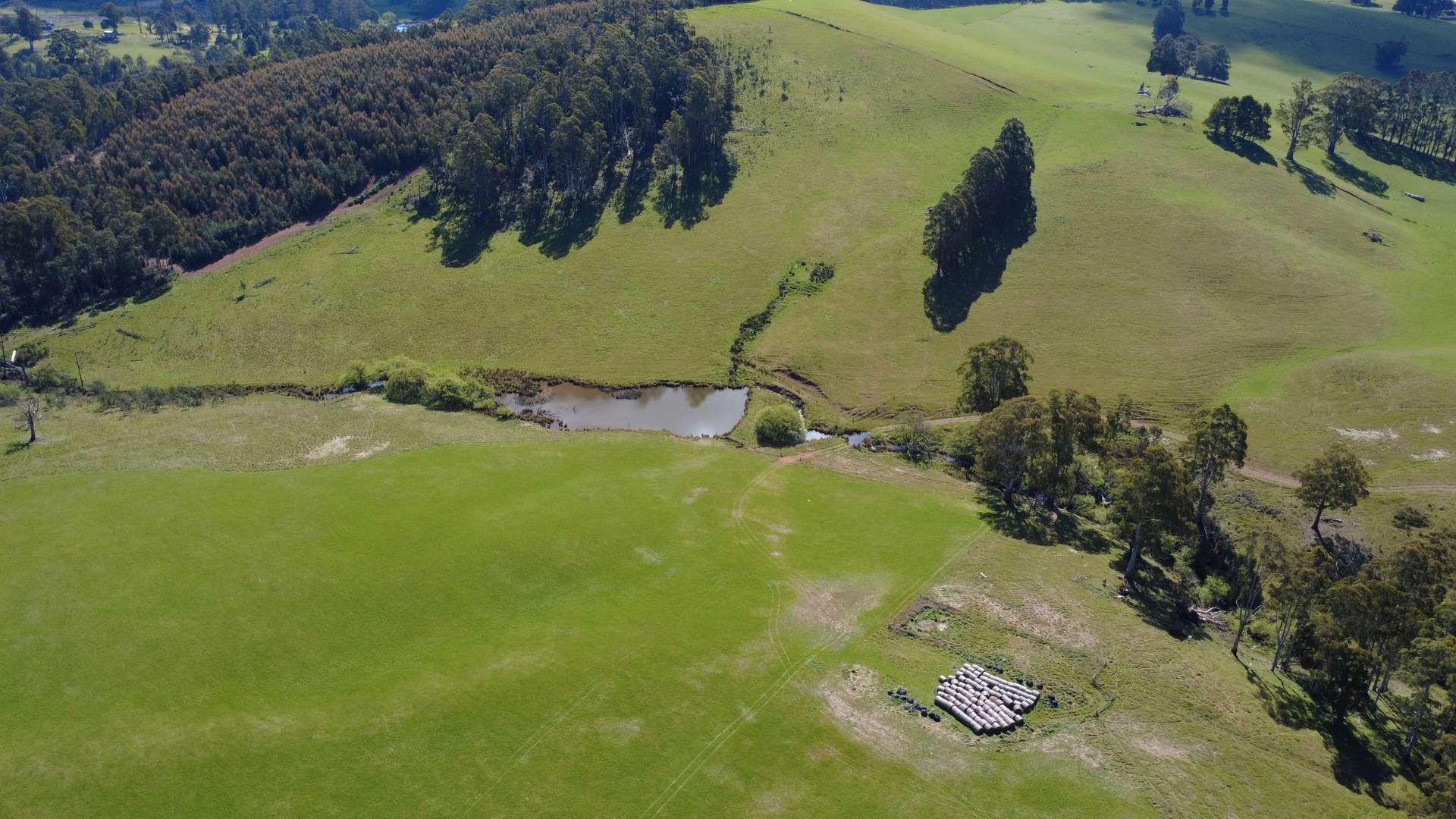 Lot 1,  Dawkins Road, Beulah For Sale by Farmbuy.com - image 14