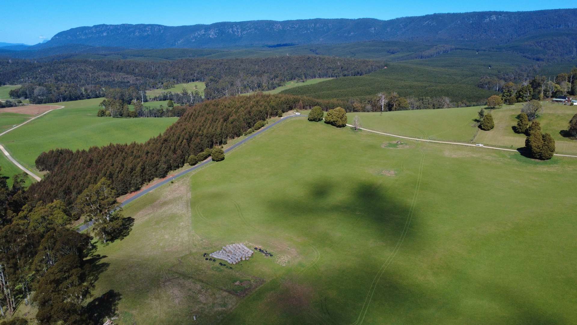 Lot 1,  Dawkins Road, Beulah For Sale by Farmbuy.com - image 8