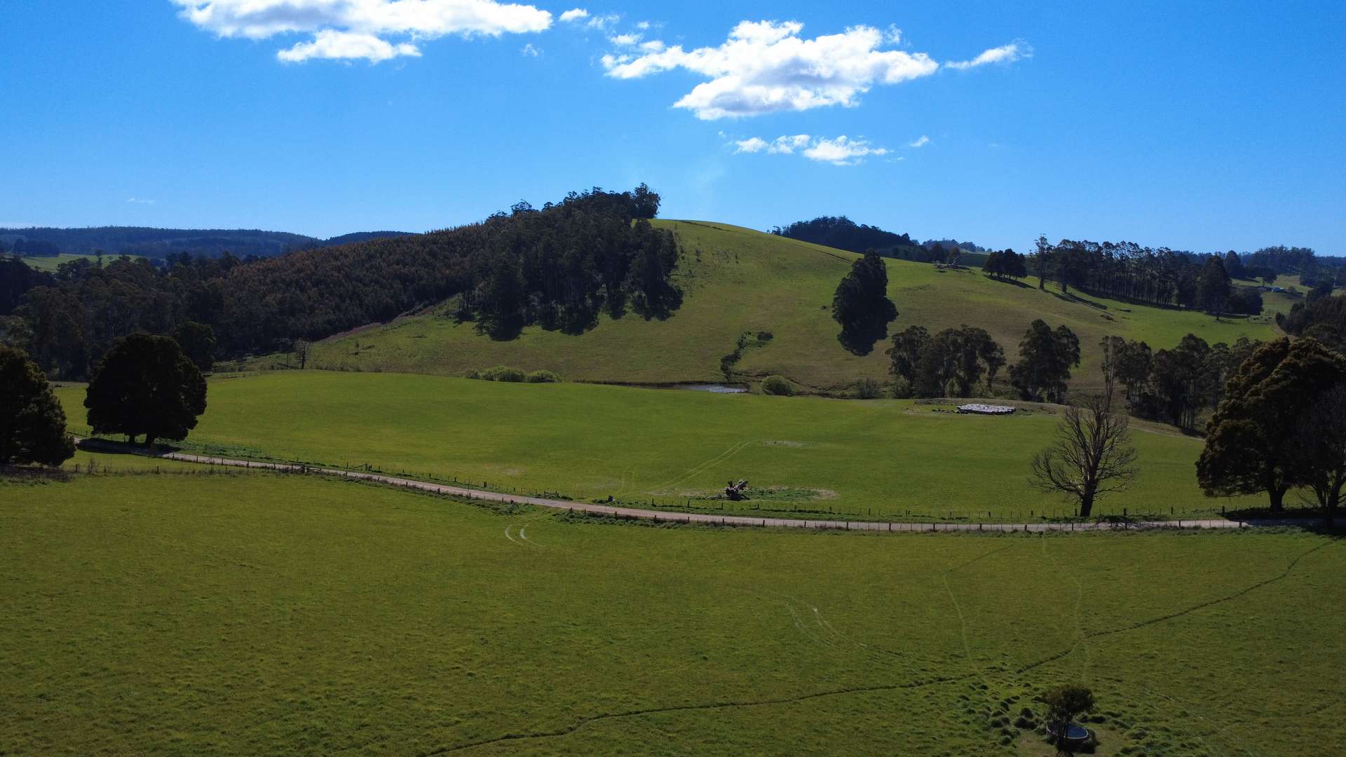 Lot 1,  Dawkins Road, Beulah For Sale by Farmbuy.com - image 7