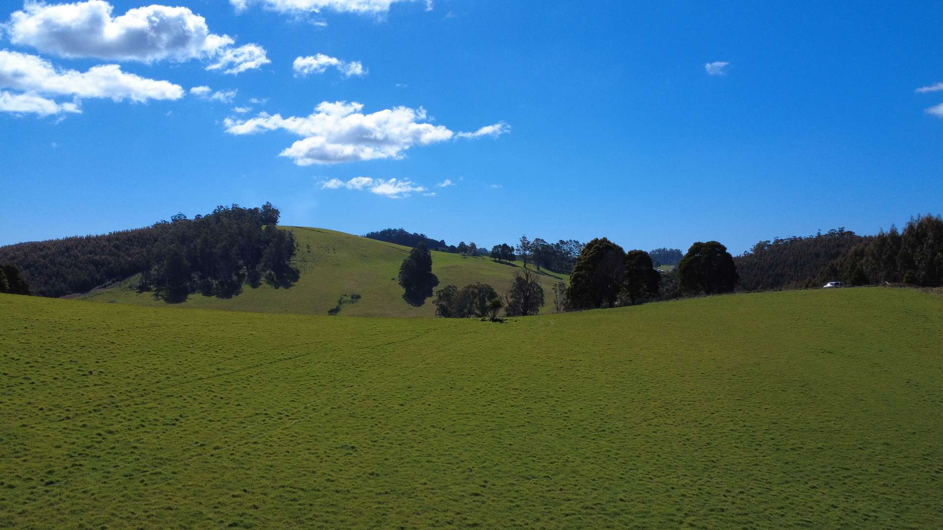Lot 1,  Dawkins Road, Beulah For Sale by Farmbuy.com - image 2