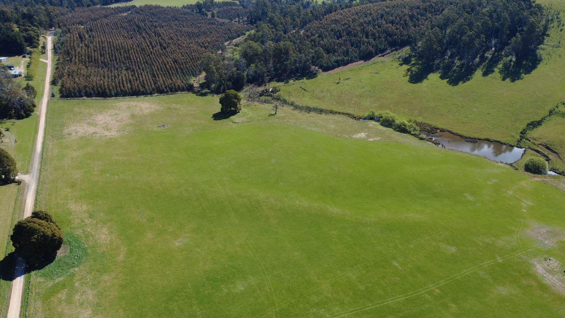 Lot 1,  Dawkins Road, Beulah For Sale by Farmbuy.com - image 13