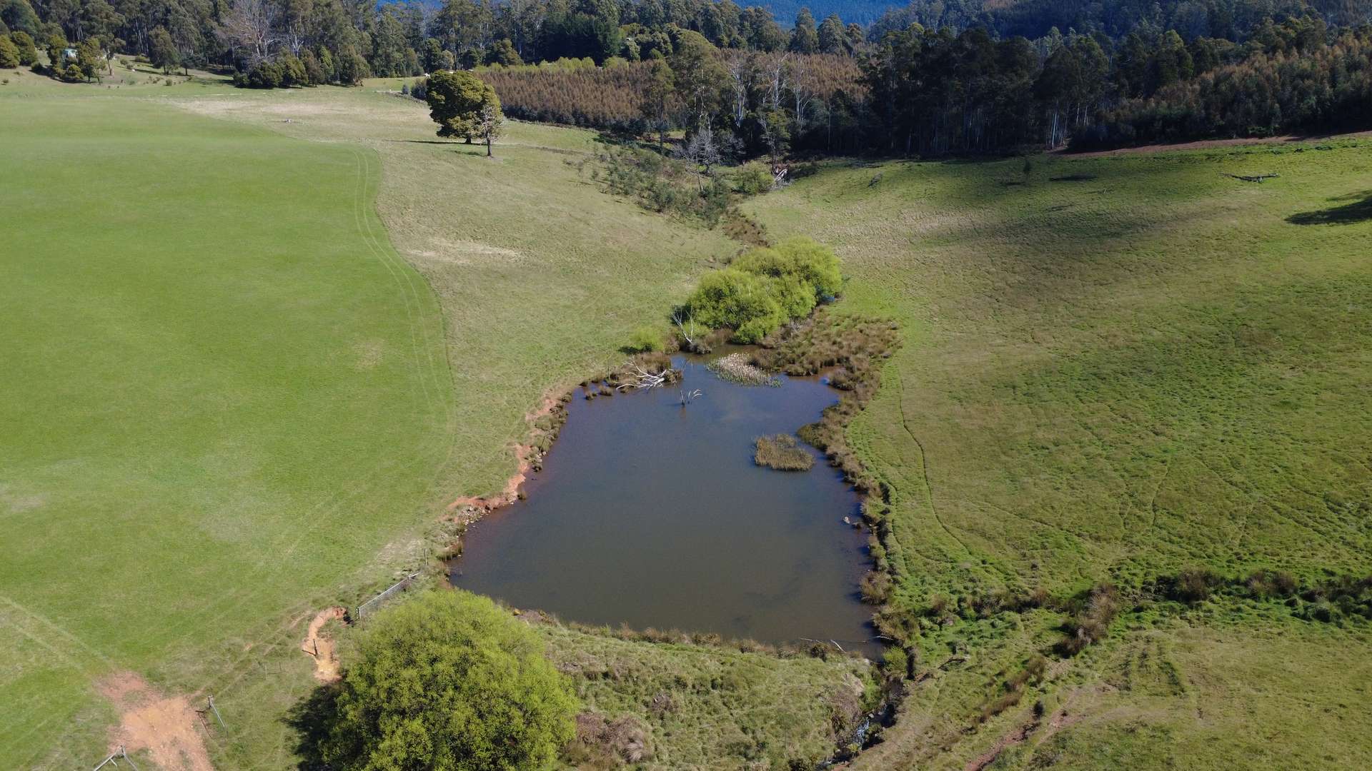 Lot 1,  Dawkins Road, Beulah For Sale by Farmbuy.com - image 11