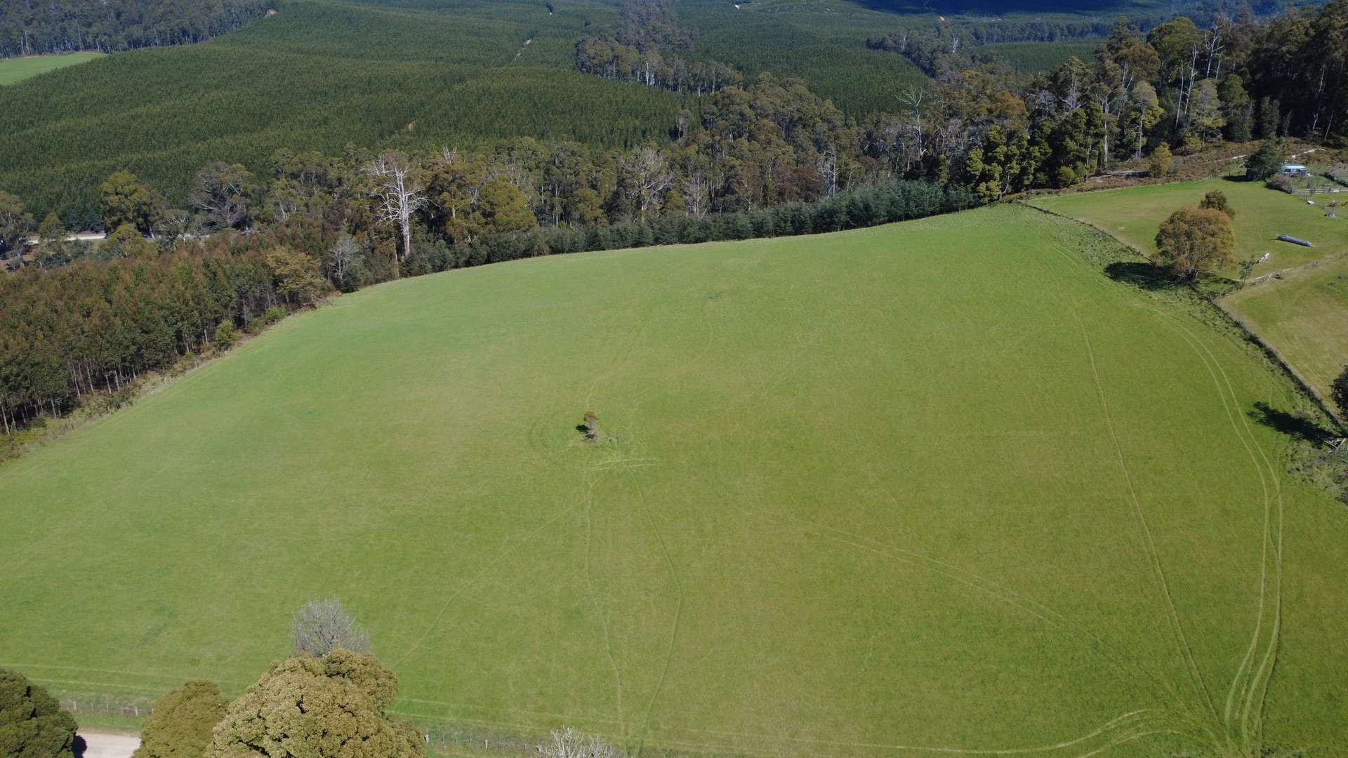 Lot 1,  Dawkins Road, Beulah For Sale by Farmbuy.com - image 4