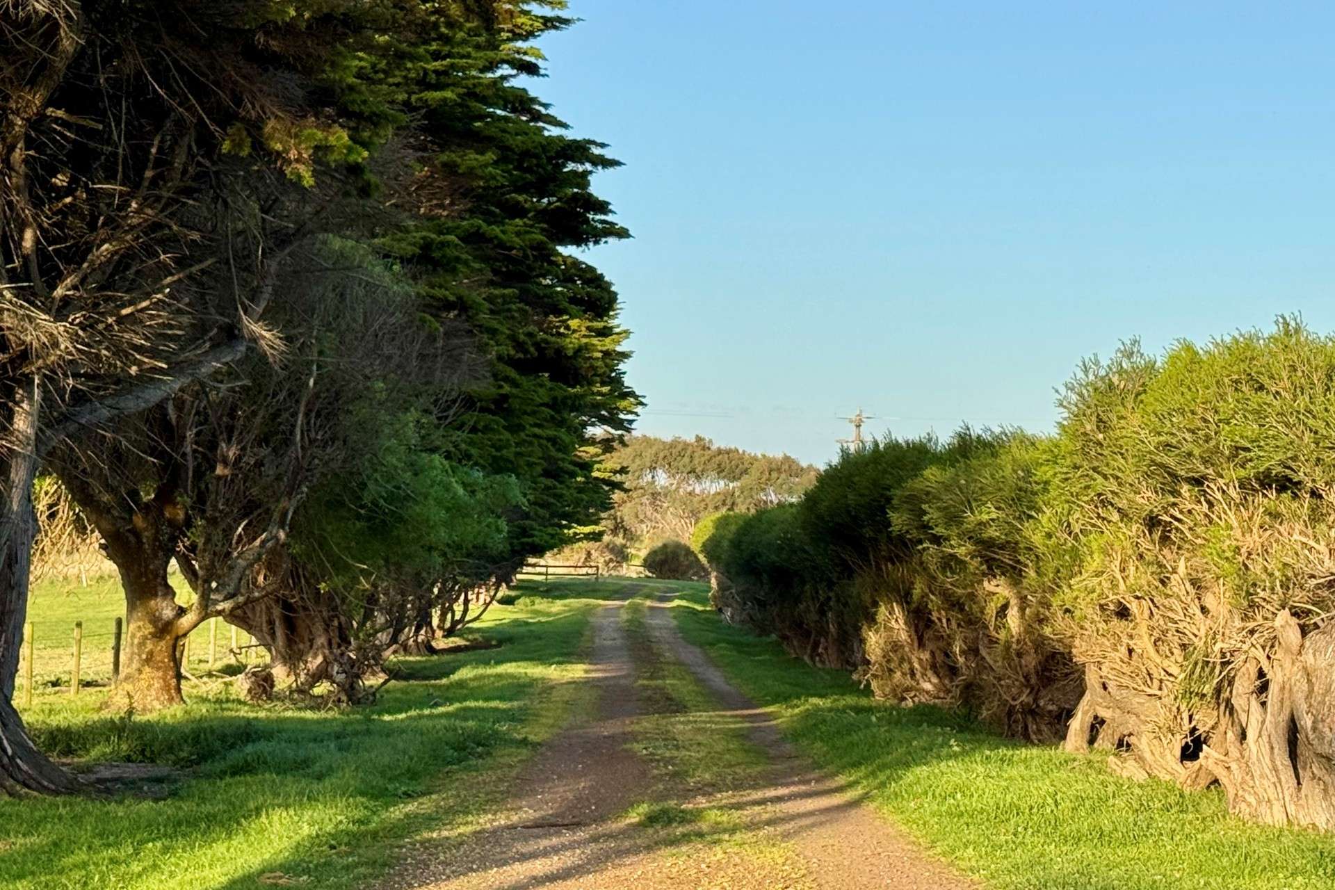 282 Childers Cove Road, Mepunga Auction by Farmbuy.com - image 15