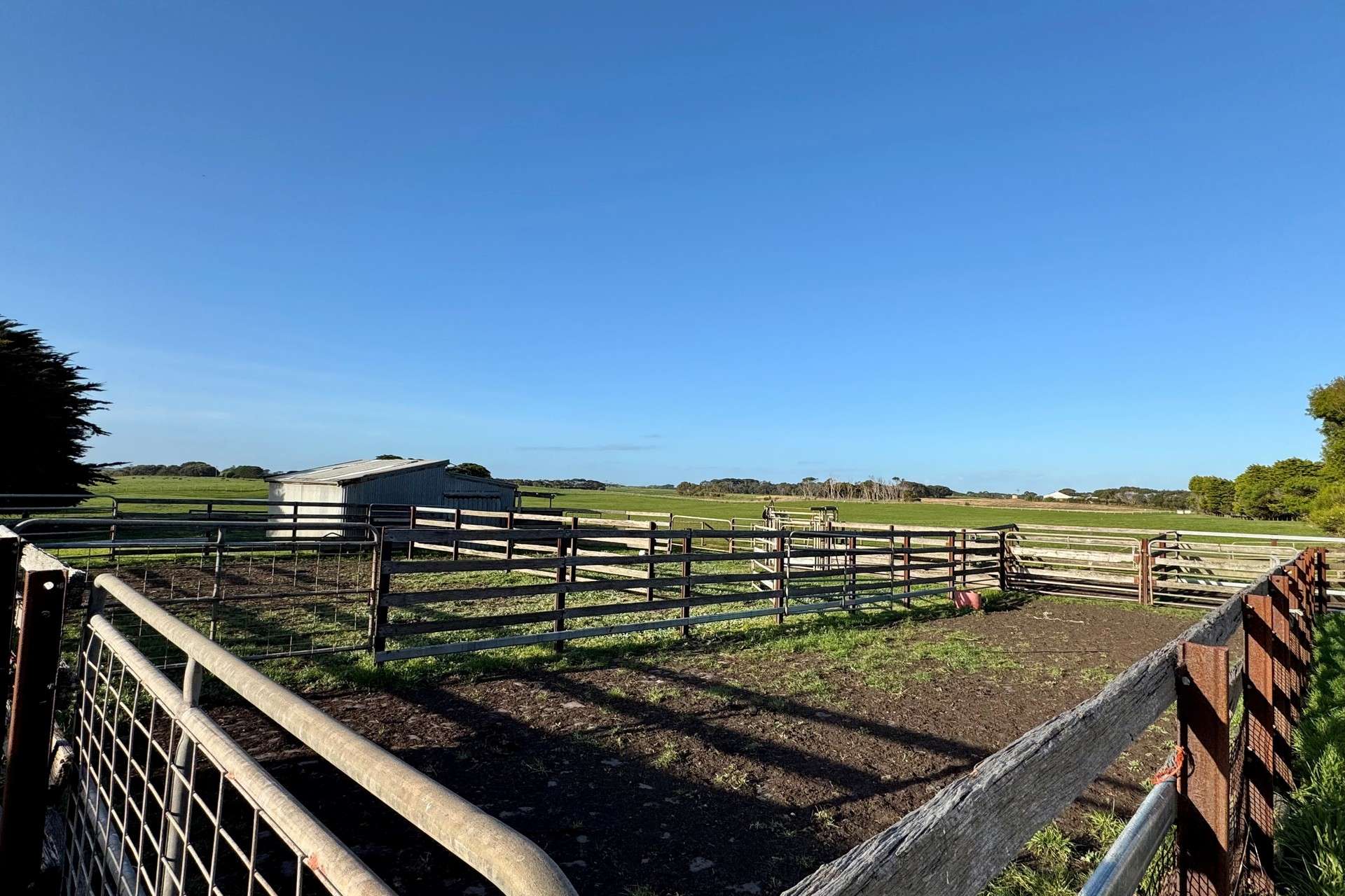 282 Childers Cove Road, Mepunga Auction by Farmbuy.com - image 6