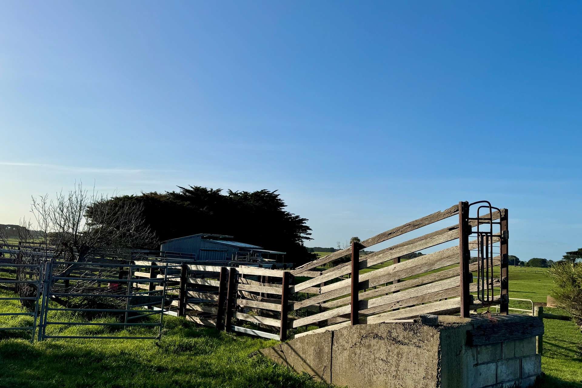282 Childers Cove Road, Mepunga Auction by Farmbuy.com - image 8