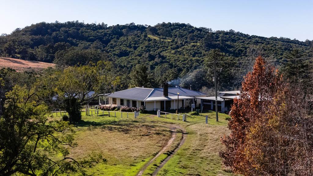 60 Sandy Knob Road, Elands NSW 2429