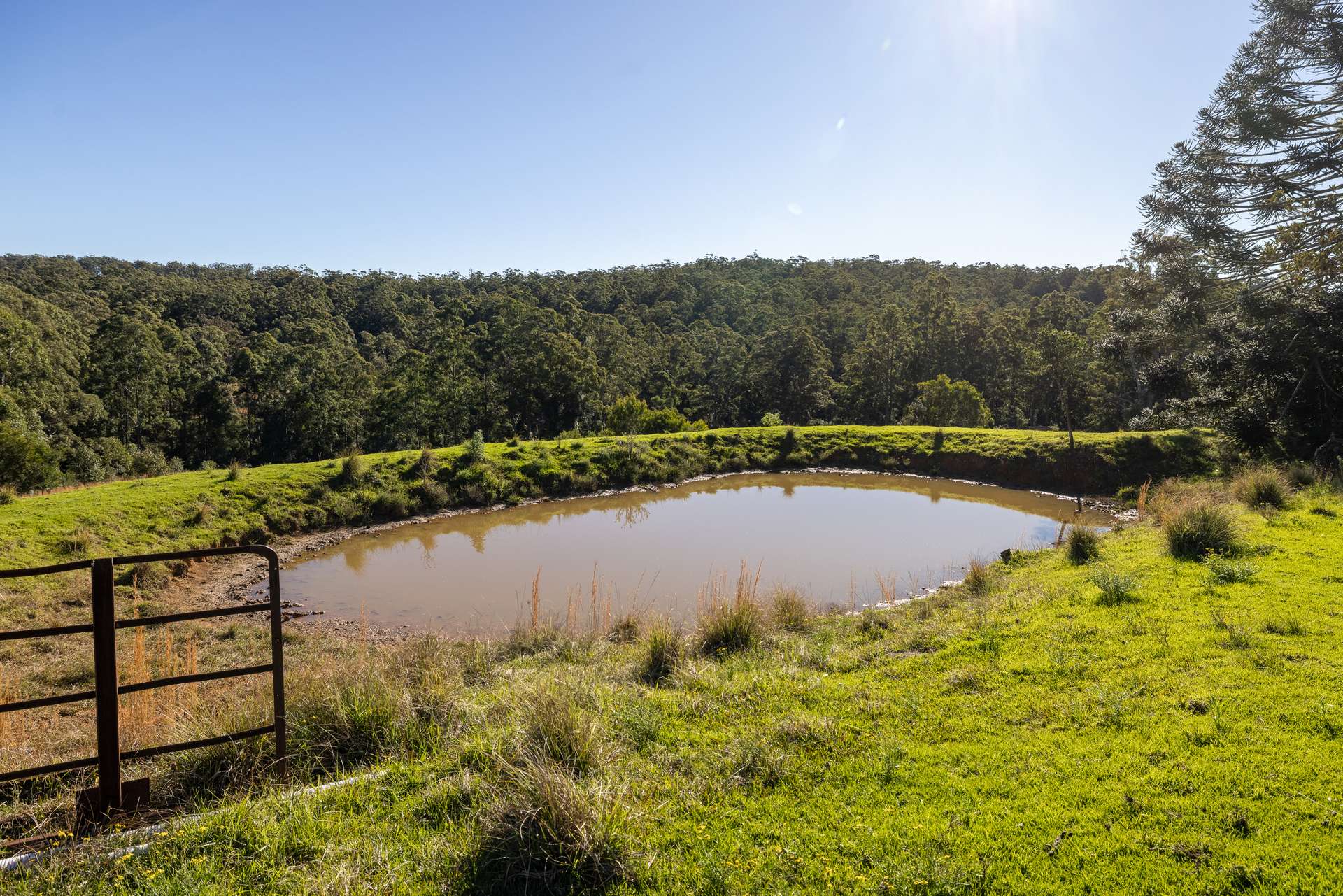 60 Sandy Knob Road, Elands Auction by Farmbuy.com - image 17