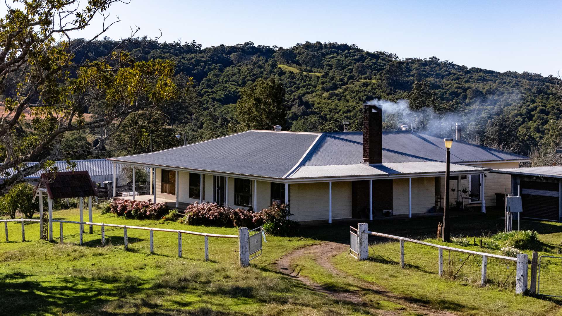 60 Sandy Knob Road, Elands Auction by Farmbuy.com - image 8