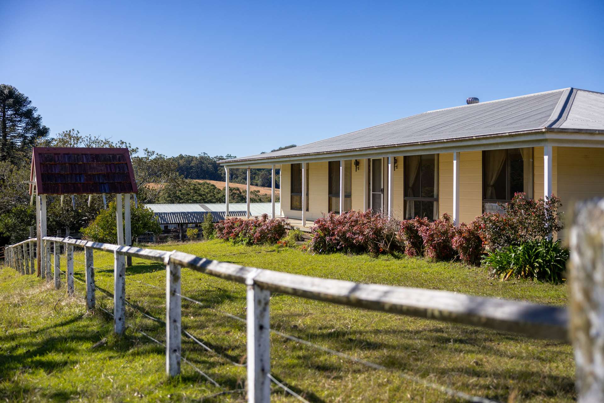 60 Sandy Knob Road, Elands Auction by Farmbuy.com - image 3