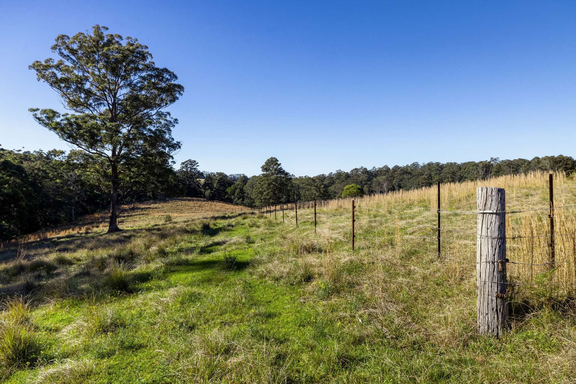 60 Sandy Knob Road, Elands Auction by Farmbuy.com - image 19