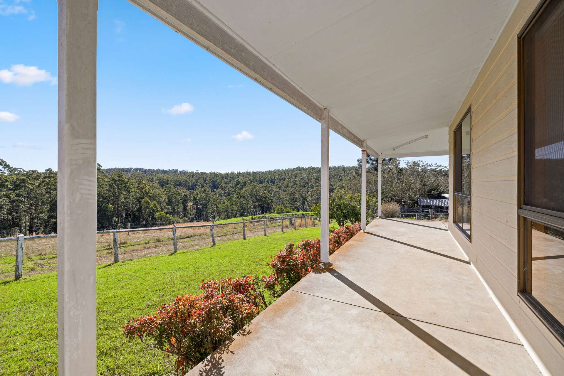 60 Sandy Knob Road, Elands Auction by Farmbuy.com - image 9