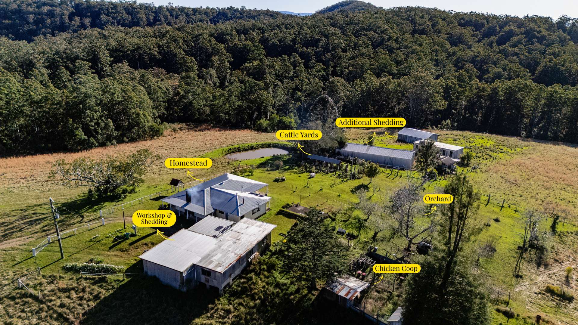 60 Sandy Knob Road, Elands Auction by Farmbuy.com - image 24
