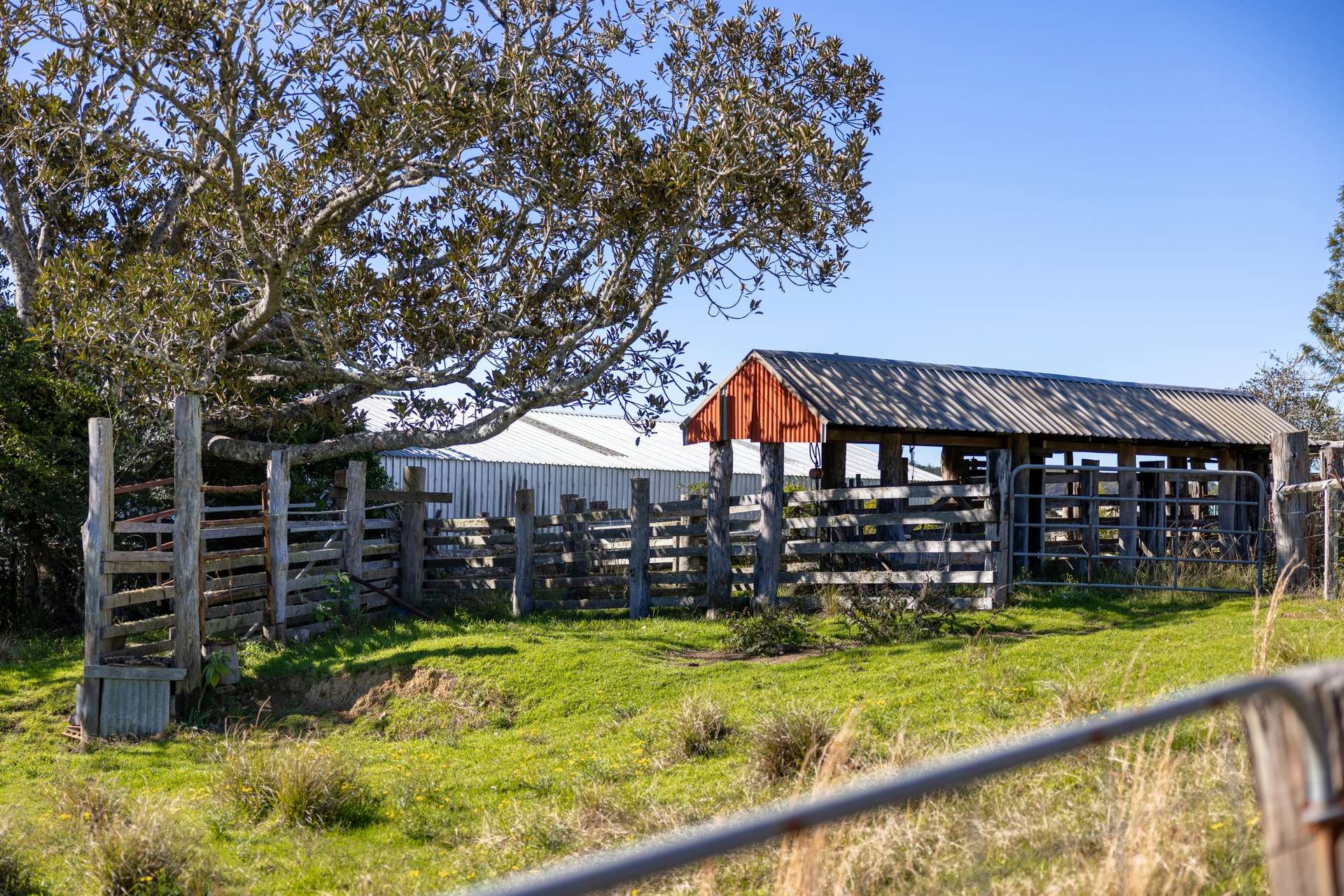 60 Sandy Knob Road, Elands Auction by Farmbuy.com - image 16