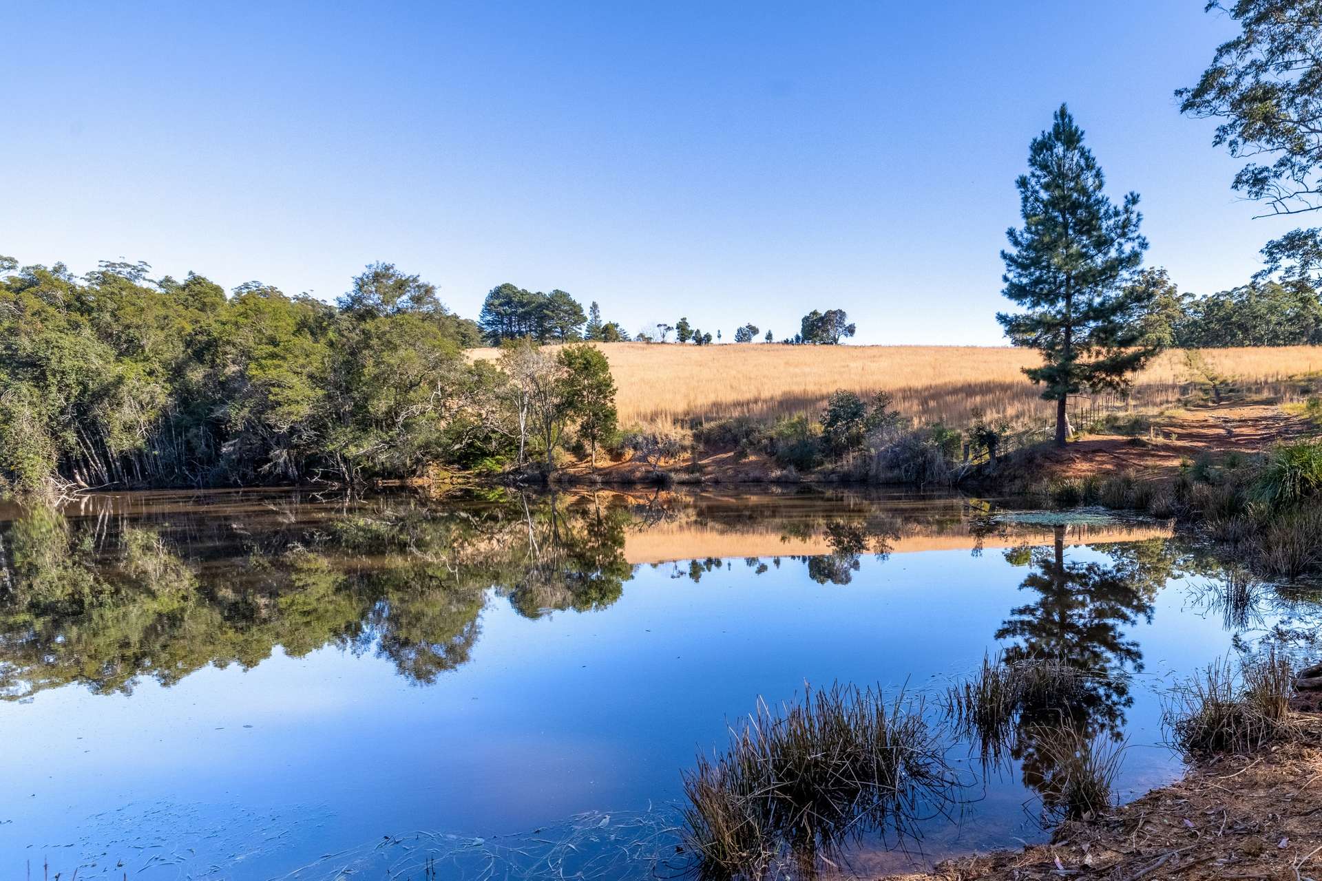 60 Sandy Knob Road, Elands Auction by Farmbuy.com - image 2