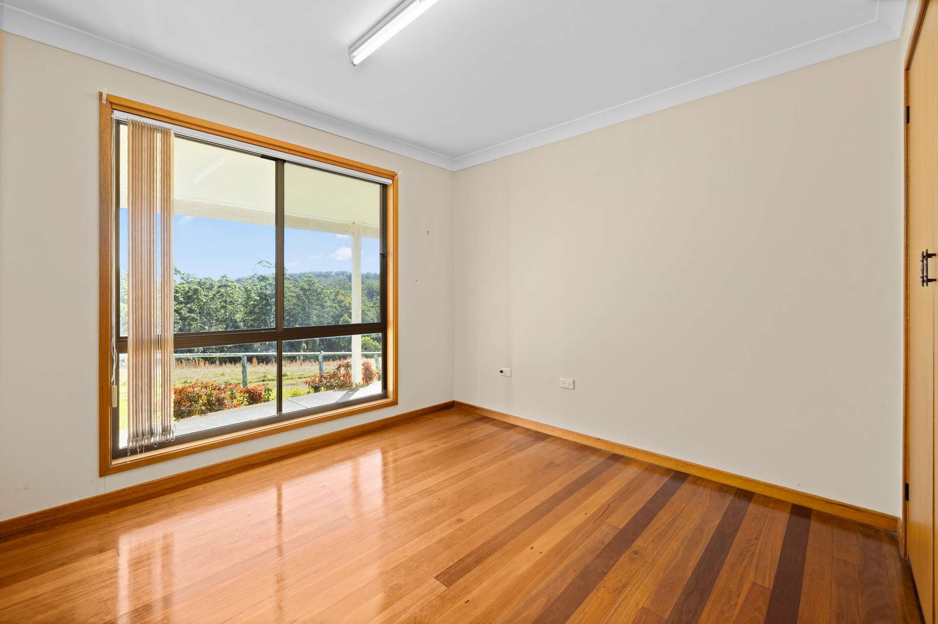 60 Sandy Knob Road, Elands Auction by Farmbuy.com - image 13