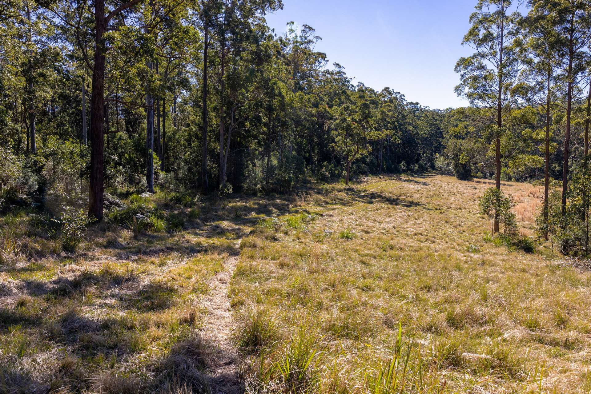 60 Sandy Knob Road, Elands Auction by Farmbuy.com - image 22