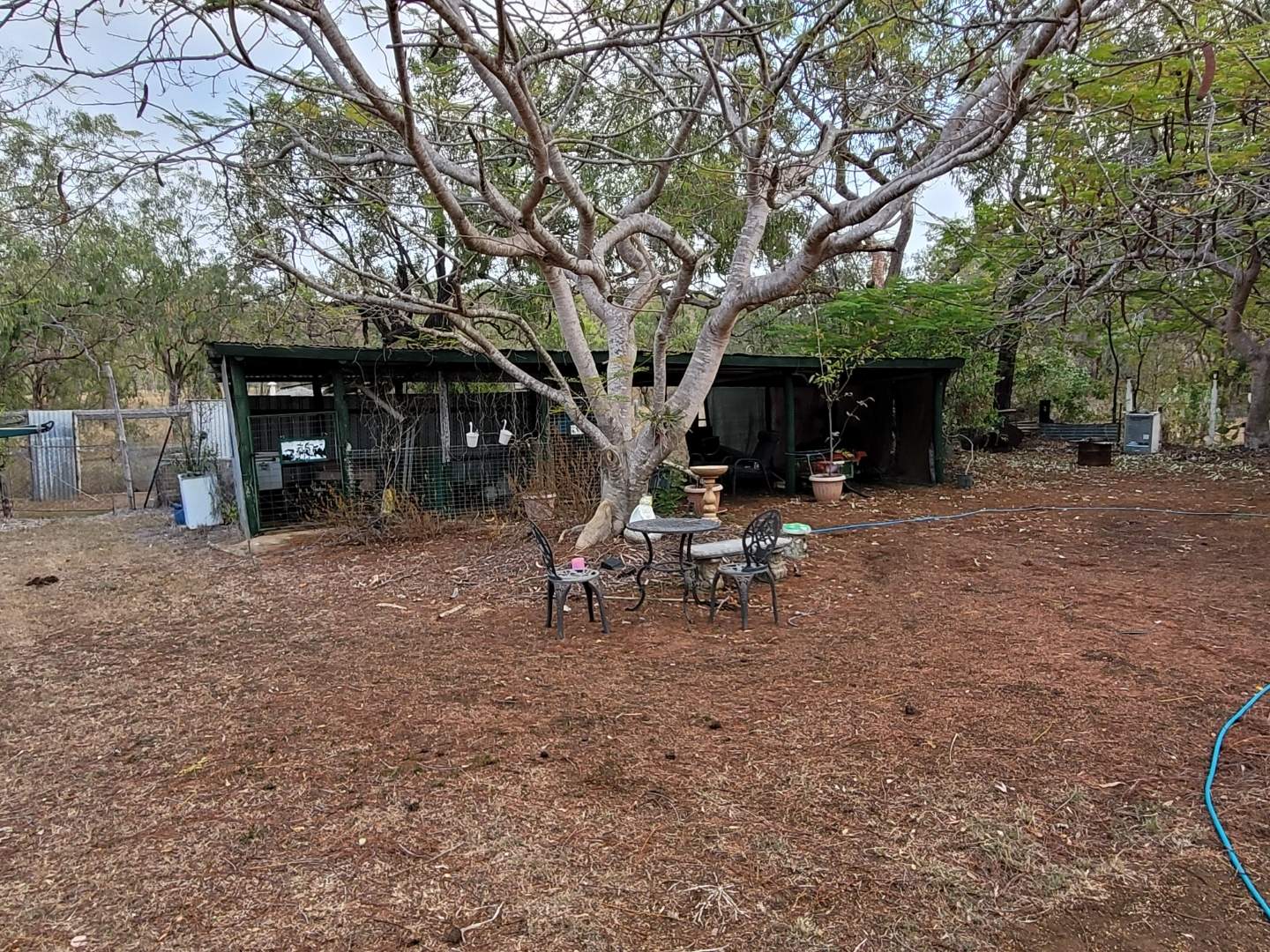 77 Slaughterhouse Road, Westwood For Sale by Farmbuy.com - image 7