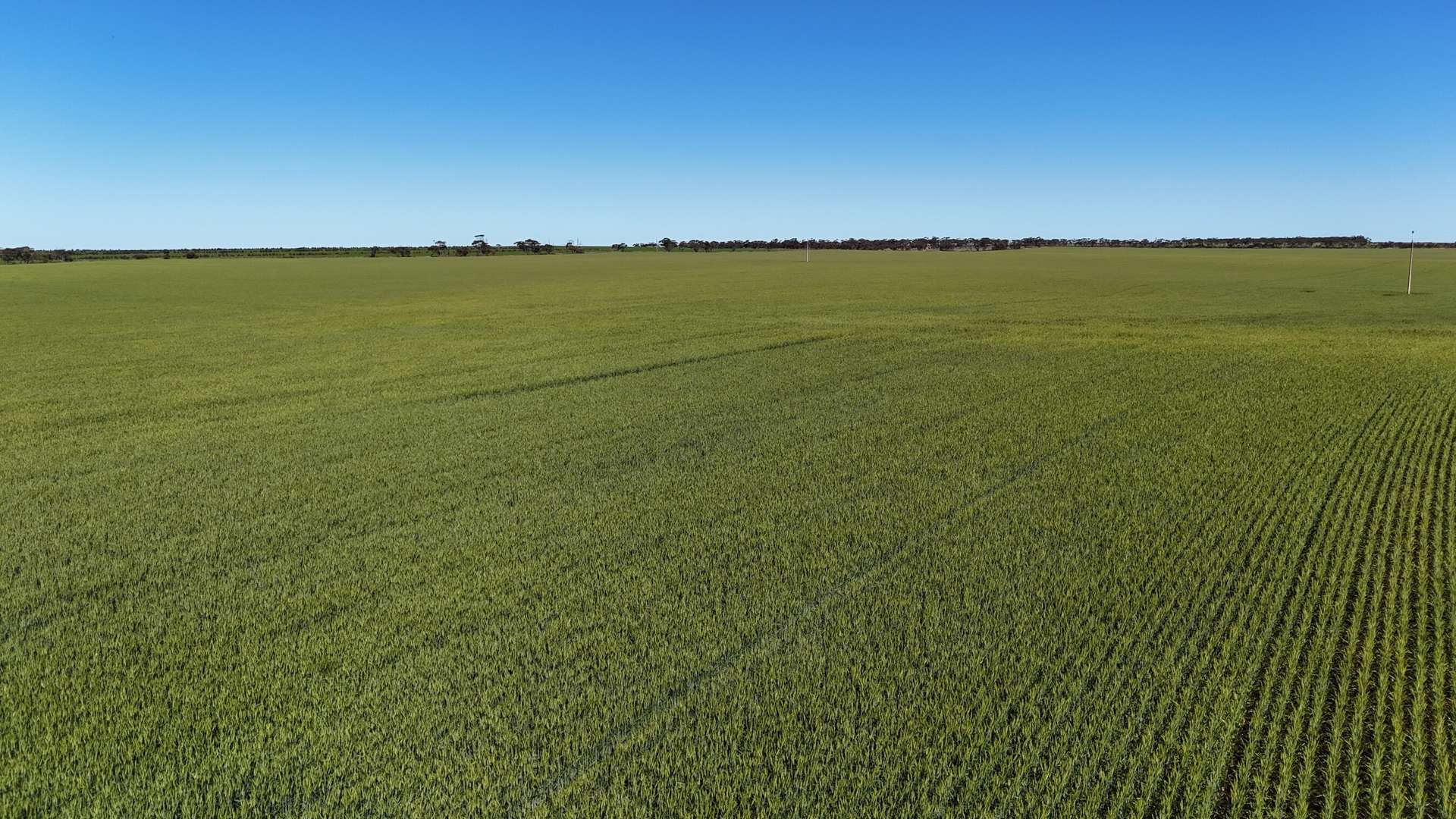 'Wattle Grove' 339 Lance Road, Buckleboo For Sale by Farmbuy.com - image 15