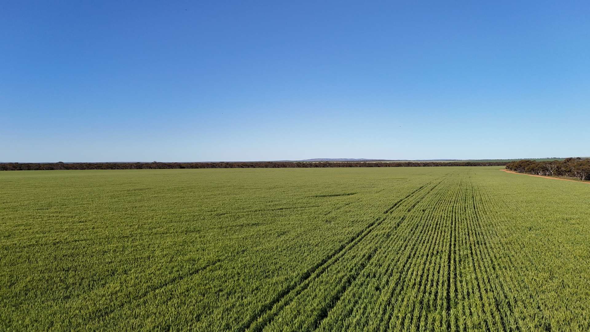 'Wattle Grove' 339 Lance Road, Buckleboo For Sale by Farmbuy.com - image 6