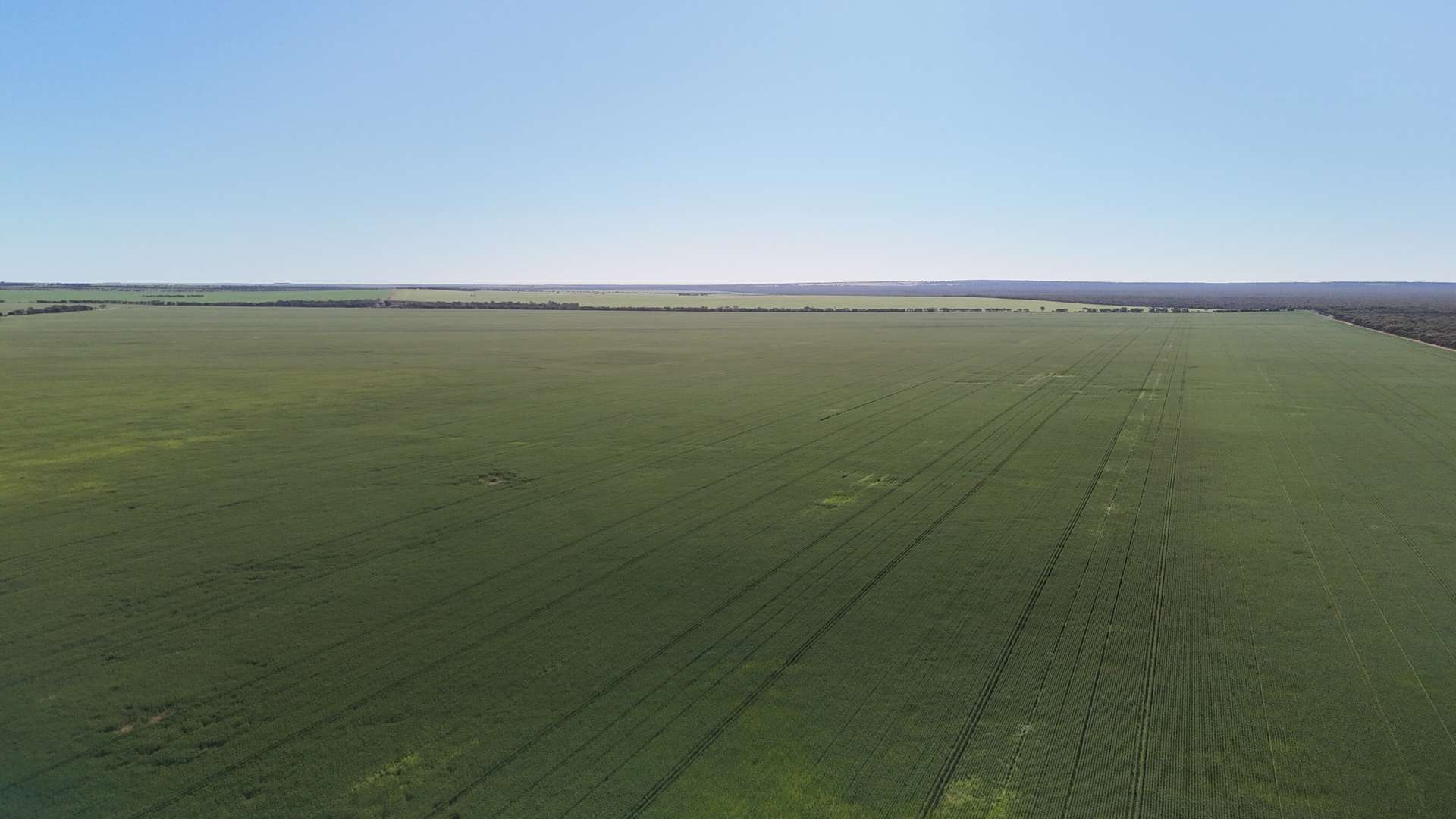'Wattle Grove' 339 Lance Road, Buckleboo For Sale by Farmbuy.com - image 10