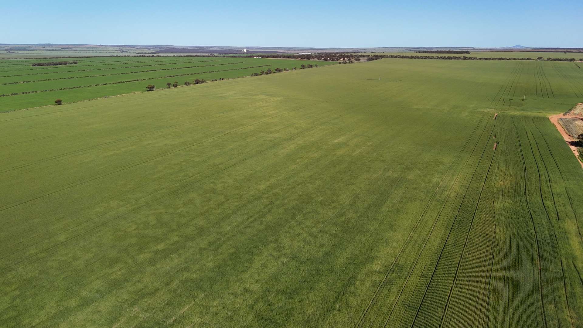 'Wattle Grove' 339 Lance Road, Buckleboo For Sale by Farmbuy.com - image 17