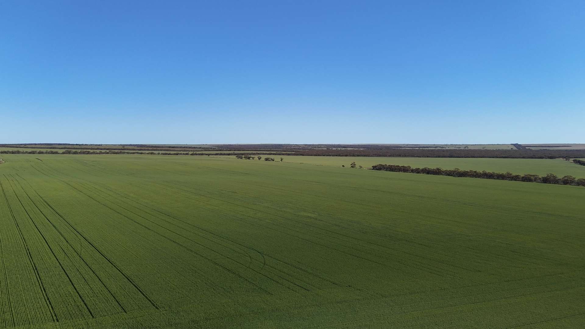 'Wattle Grove' 339 Lance Road, Buckleboo For Sale by Farmbuy.com - image 13