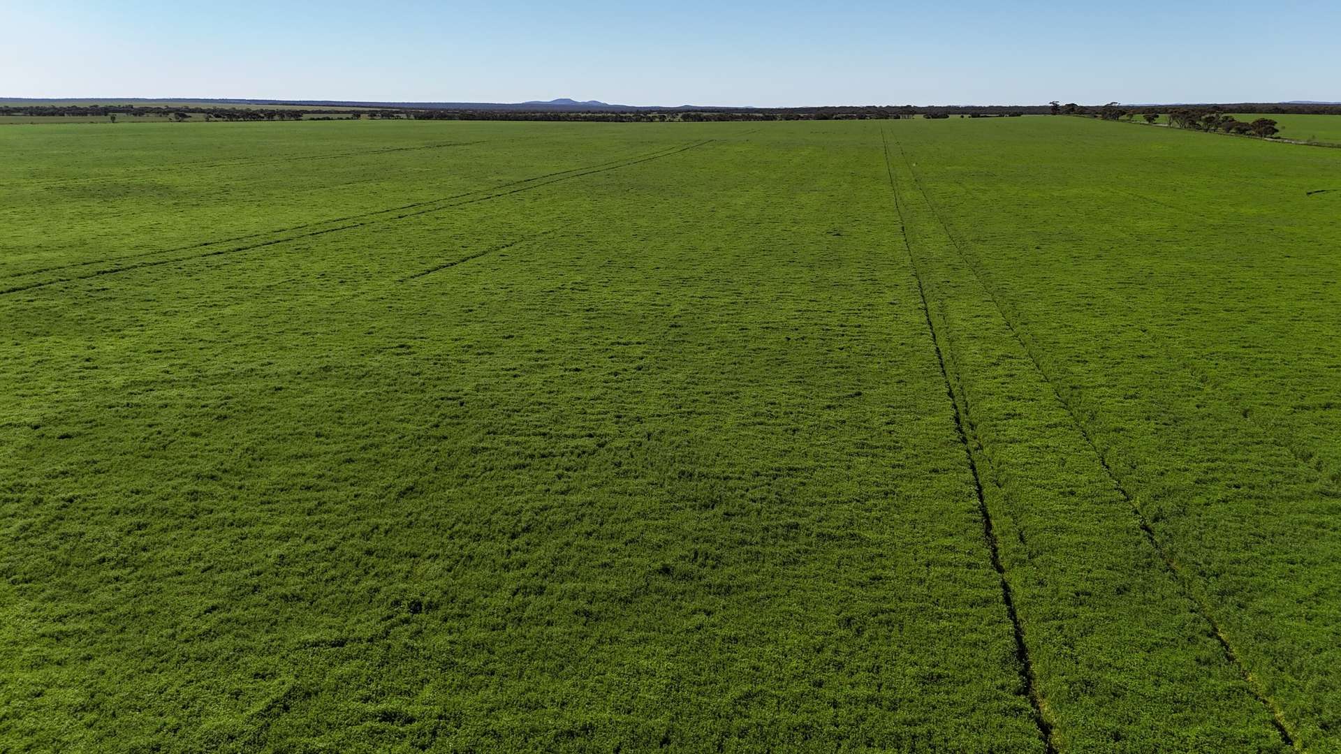 'Wattle Grove' 339 Lance Road, Buckleboo For Sale by Farmbuy.com - image 2