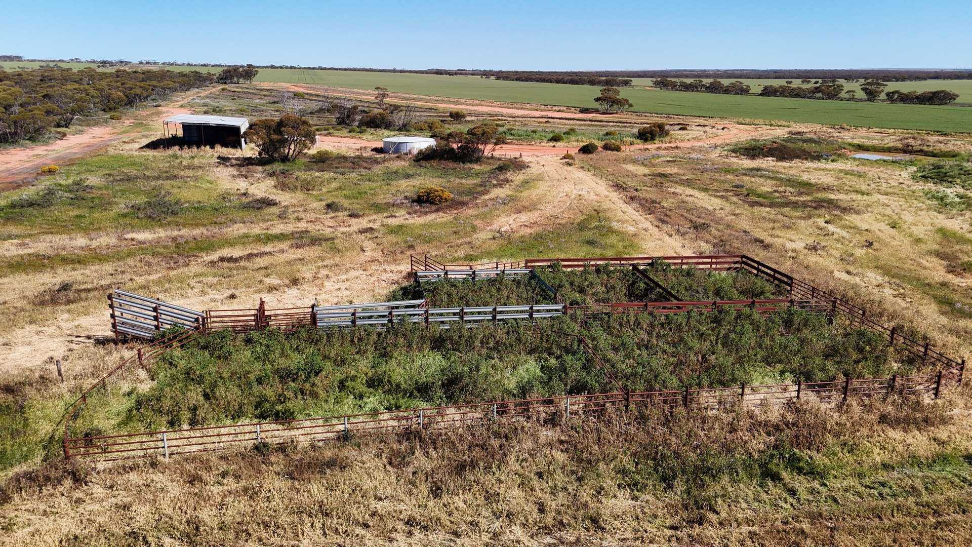 'Wattle Grove' 339 Lance Road, Buckleboo For Sale by Farmbuy.com - image 24