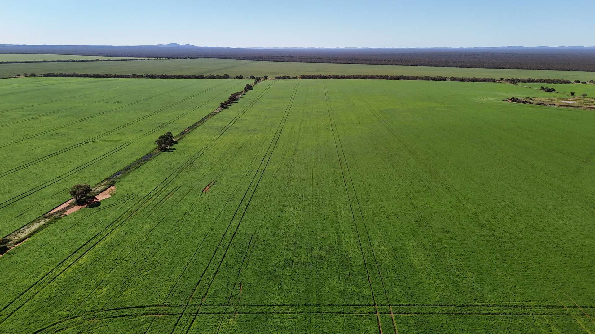 'Wattle Grove' 339 Lance Road, Buckleboo For Sale by Farmbuy.com - image 16