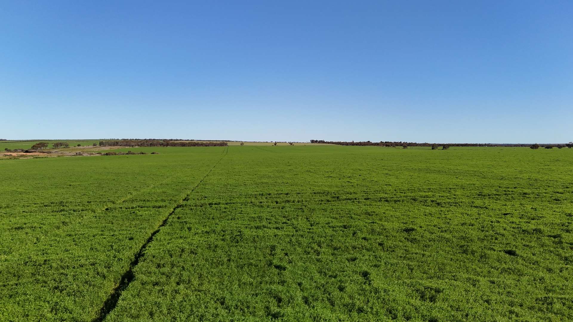 'Wattle Grove' 339 Lance Road, Buckleboo For Sale by Farmbuy.com - image 3