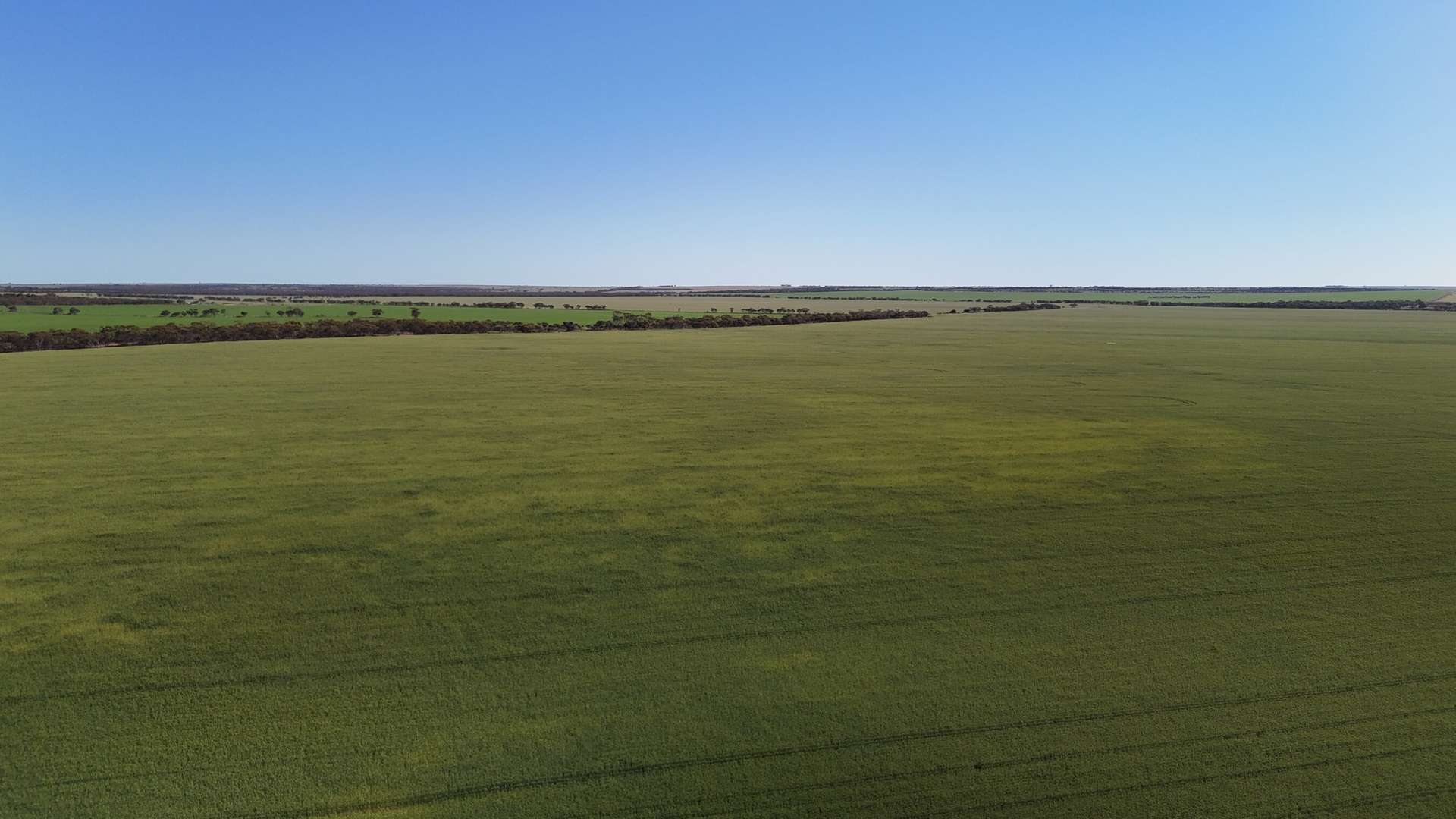'Wattle Grove' 339 Lance Road, Buckleboo For Sale by Farmbuy.com - image 11