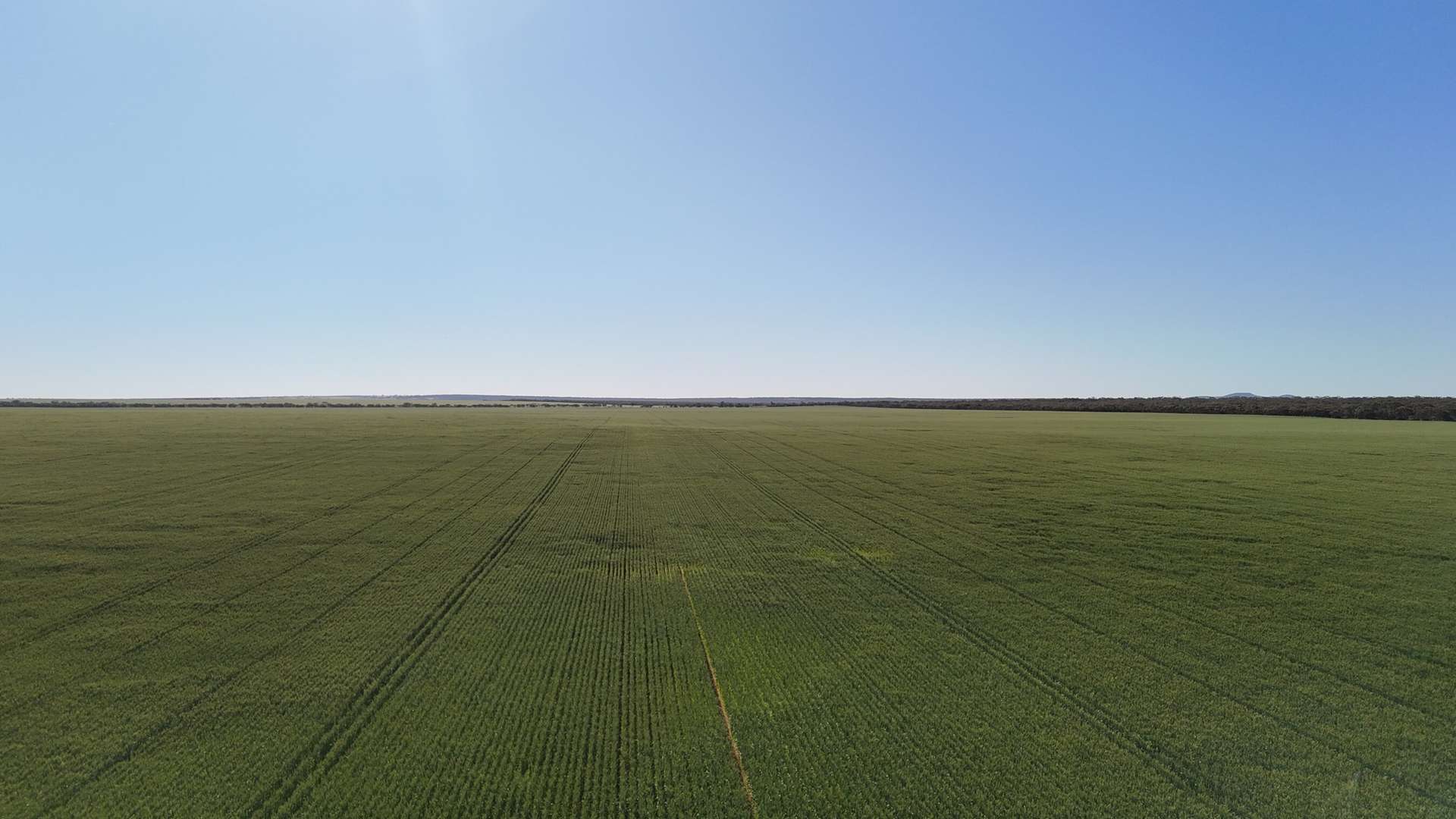 'Wattle Grove' 339 Lance Road, Buckleboo For Sale by Farmbuy.com - image 9