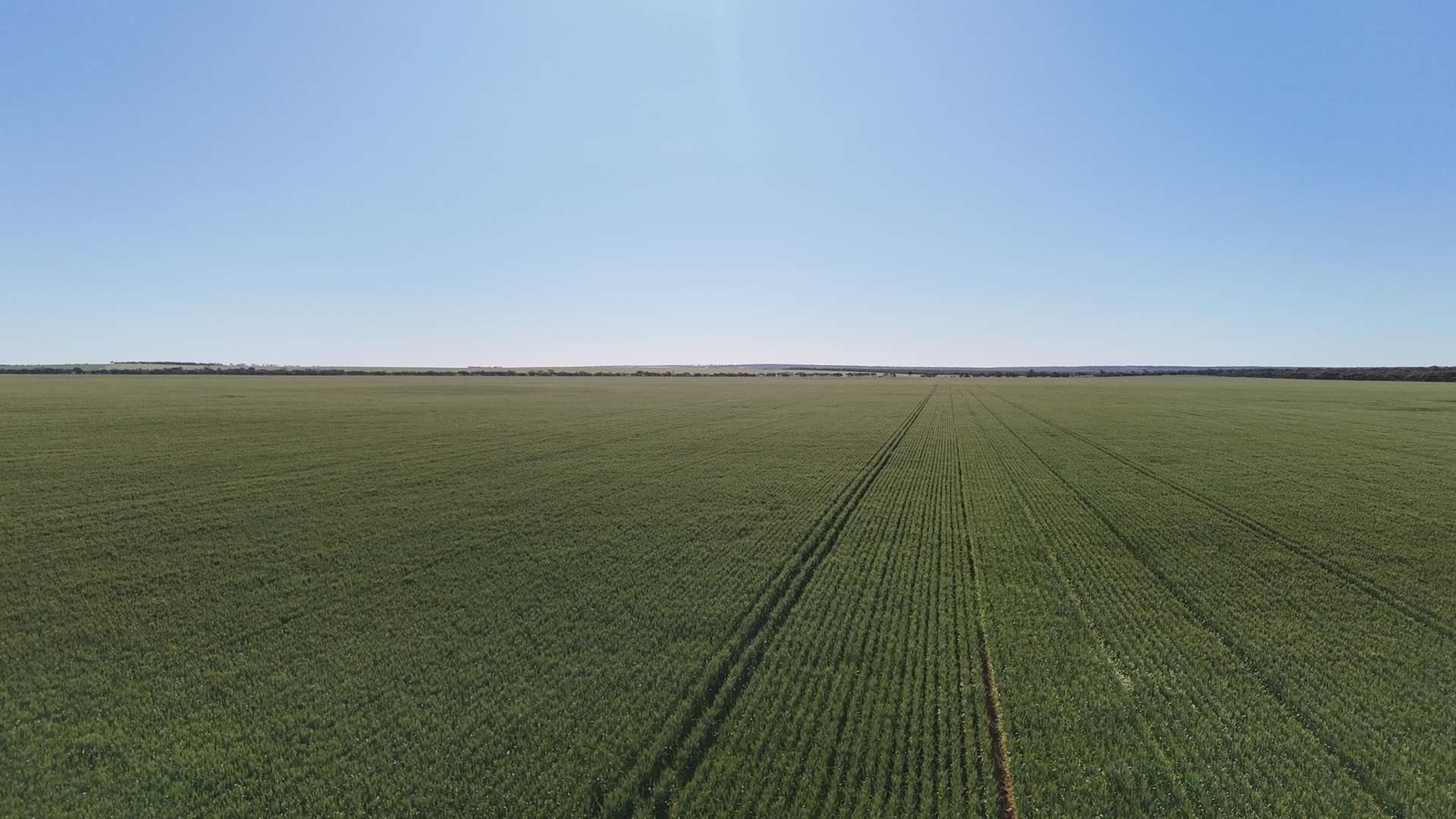 'Wattle Grove' 339 Lance Road, Buckleboo For Sale by Farmbuy.com - image 12