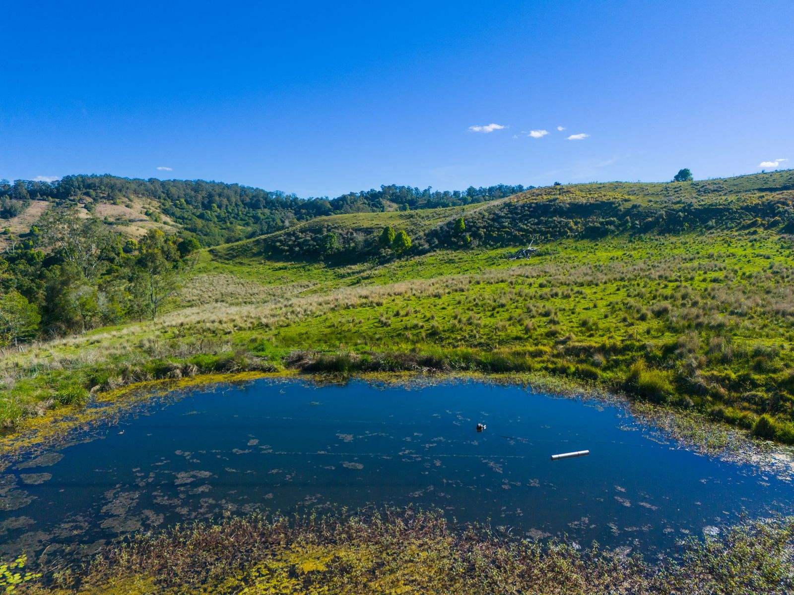 383 Bice Road, Leycester For Sale by Farmbuy.com - image 2