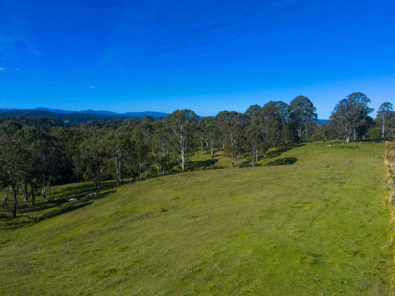 383 Bice Road, Leycester For Sale by Farmbuy.com - image 21