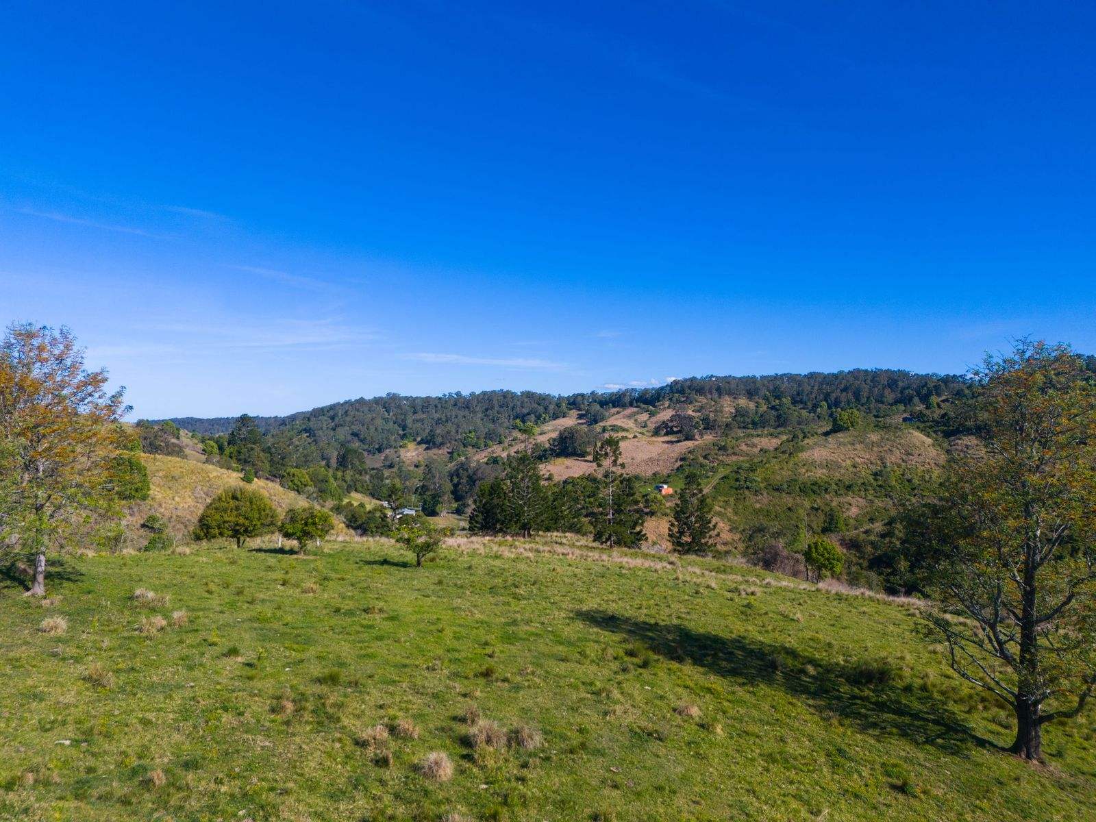 383 Bice Road, Leycester For Sale by Farmbuy.com - image 4