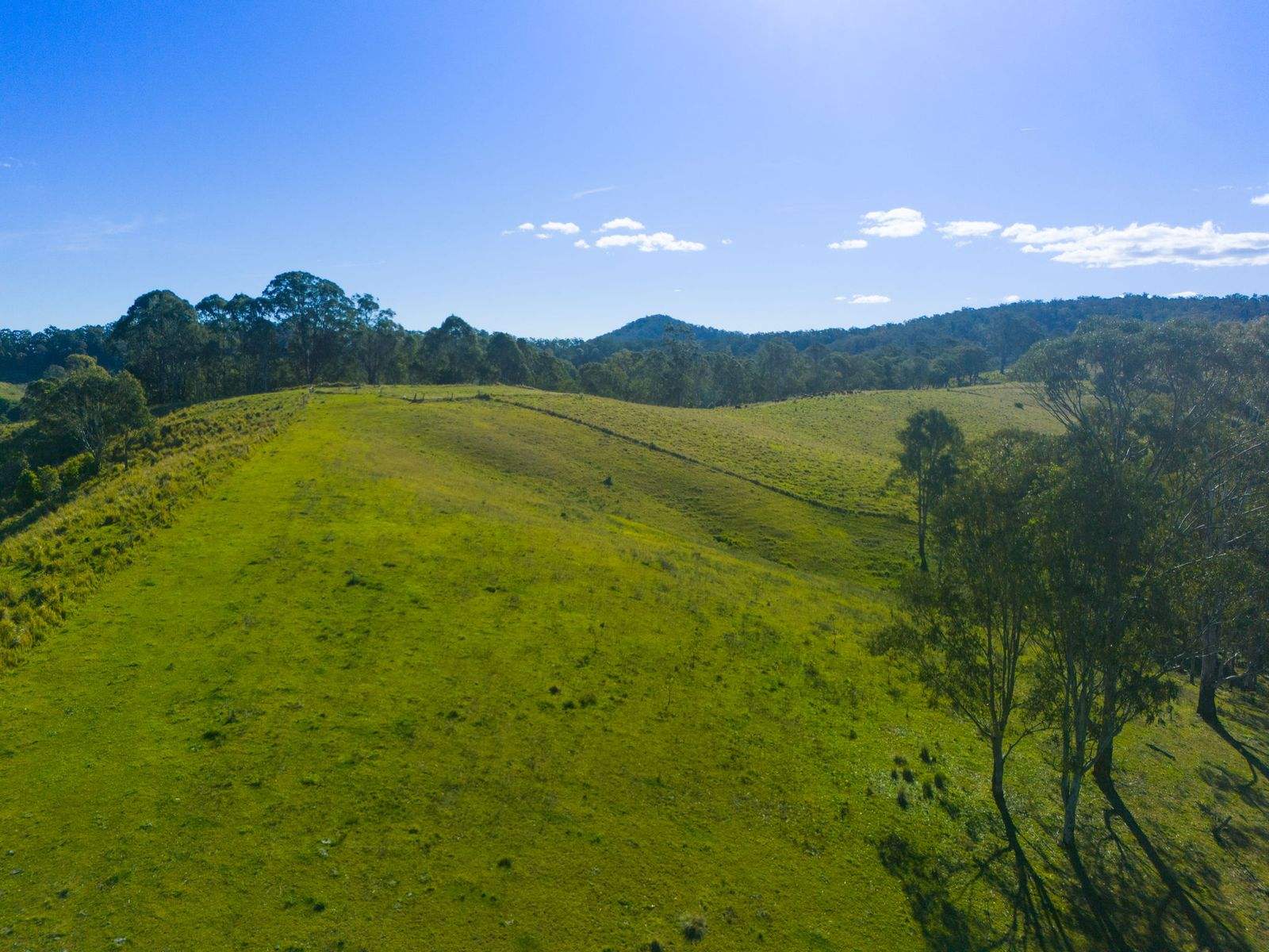 383 Bice Road, Leycester For Sale by Farmbuy.com - image 19
