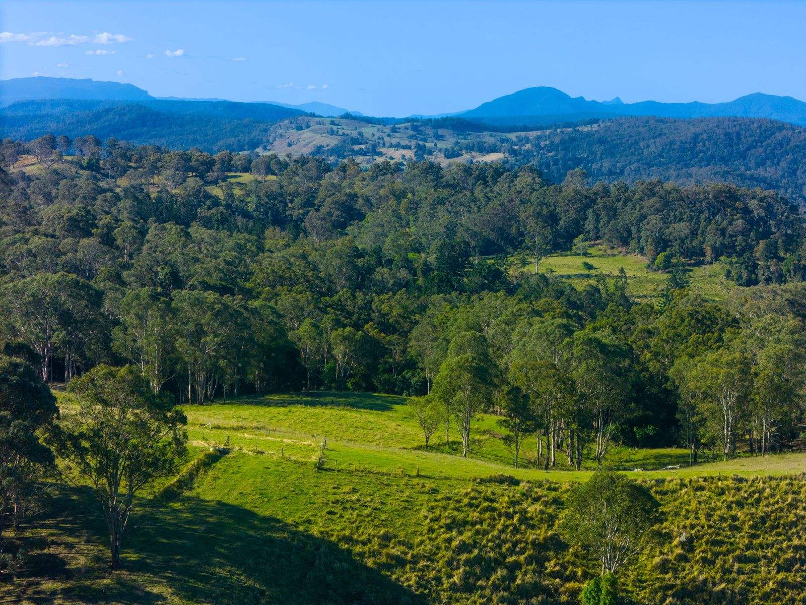 383 Bice Road, Leycester For Sale by Farmbuy.com - image 3