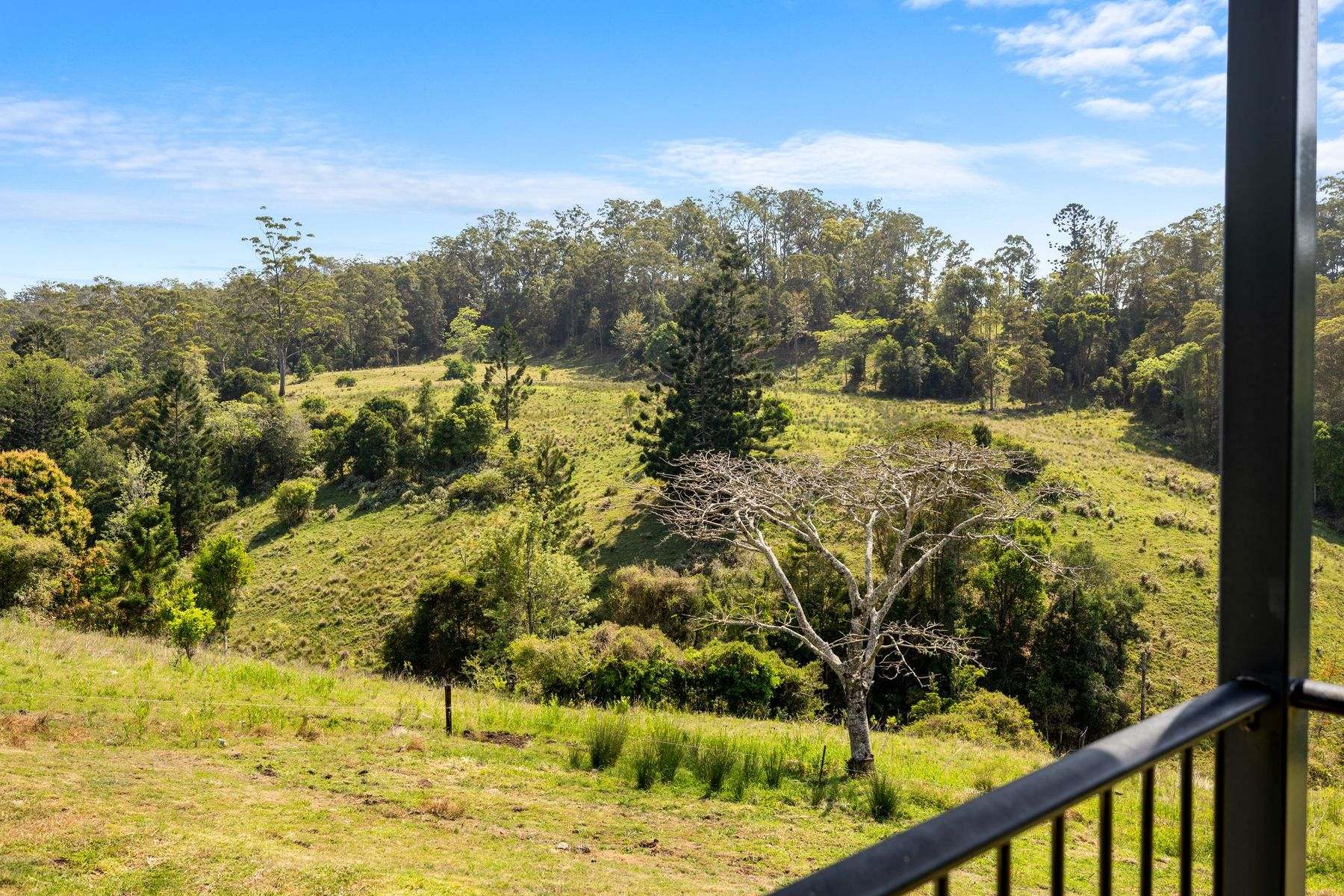 383 Bice Road, Leycester For Sale by Farmbuy.com - image 13