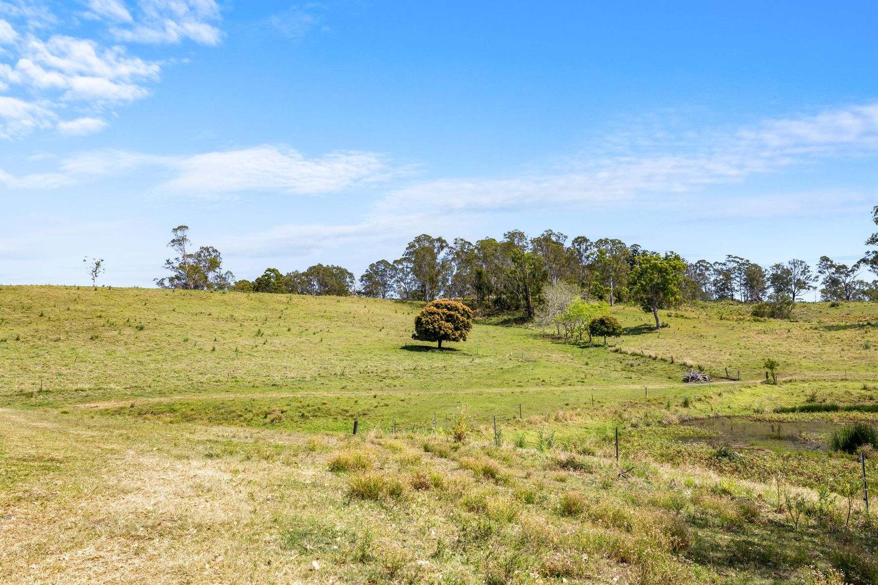 383 Bice Road, Leycester For Sale by Farmbuy.com - image 2