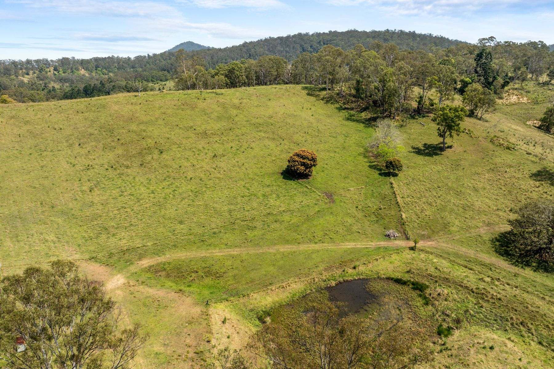 383 Bice Road, Leycester For Sale by Farmbuy.com - image 15