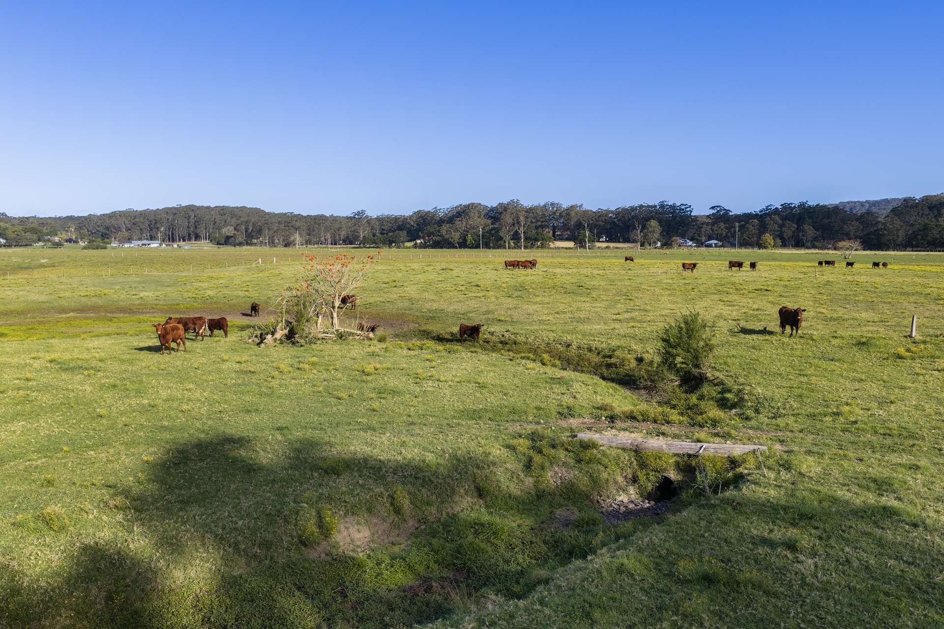 'Athelglow' A200B Princes Highway, Berry For Sale by Farmbuy.com - image 20