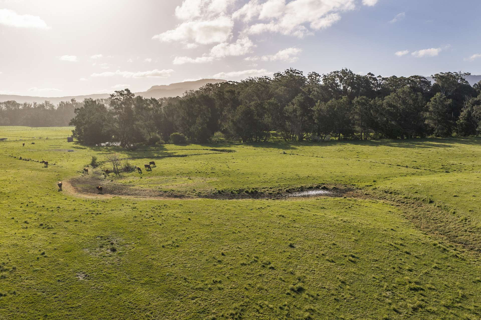 'Athelglow' A200B Princes Highway, Berry For Sale by Farmbuy.com - image 19