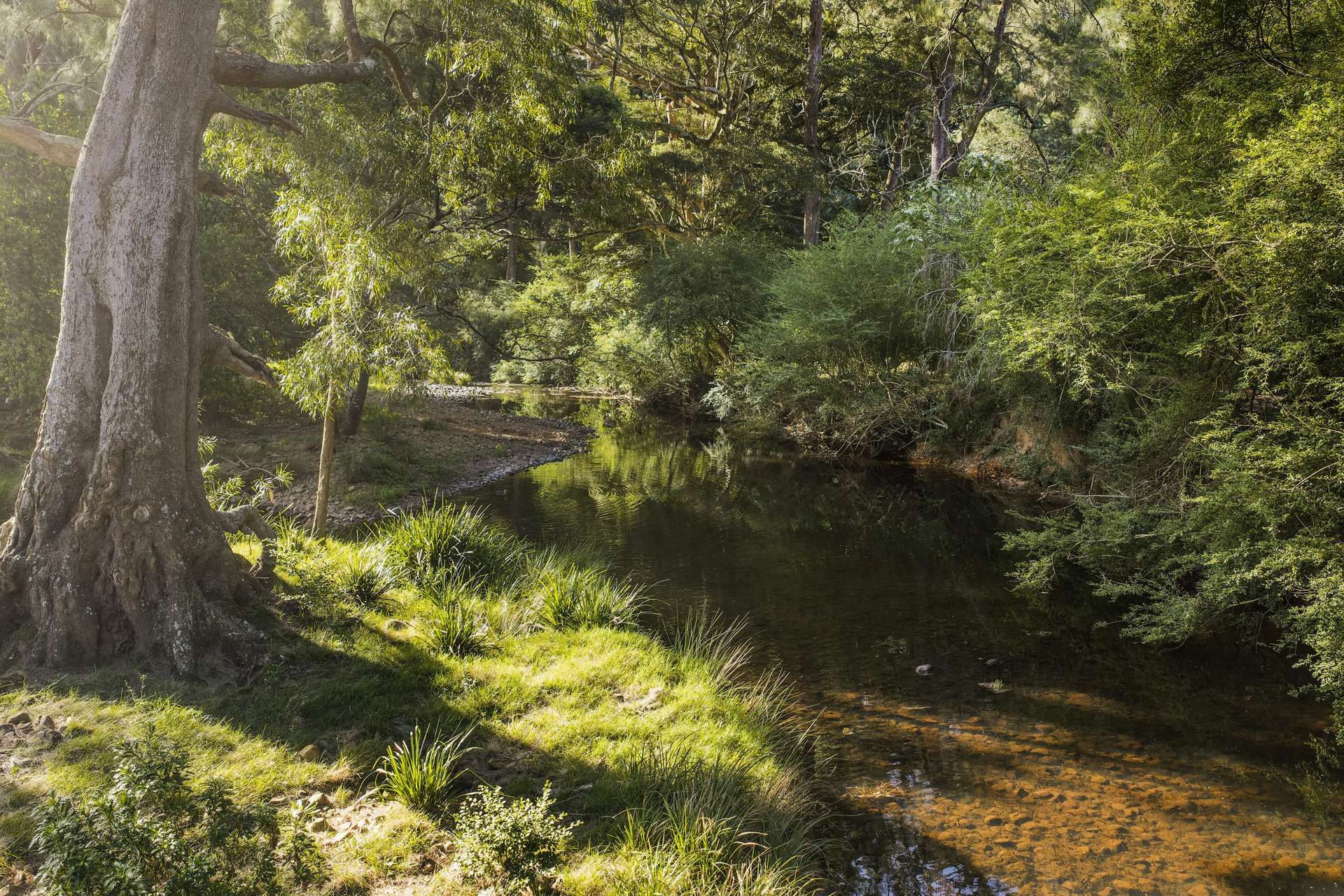 'Athelglow' A200B Princes Highway, Berry For Sale by Farmbuy.com - image 5