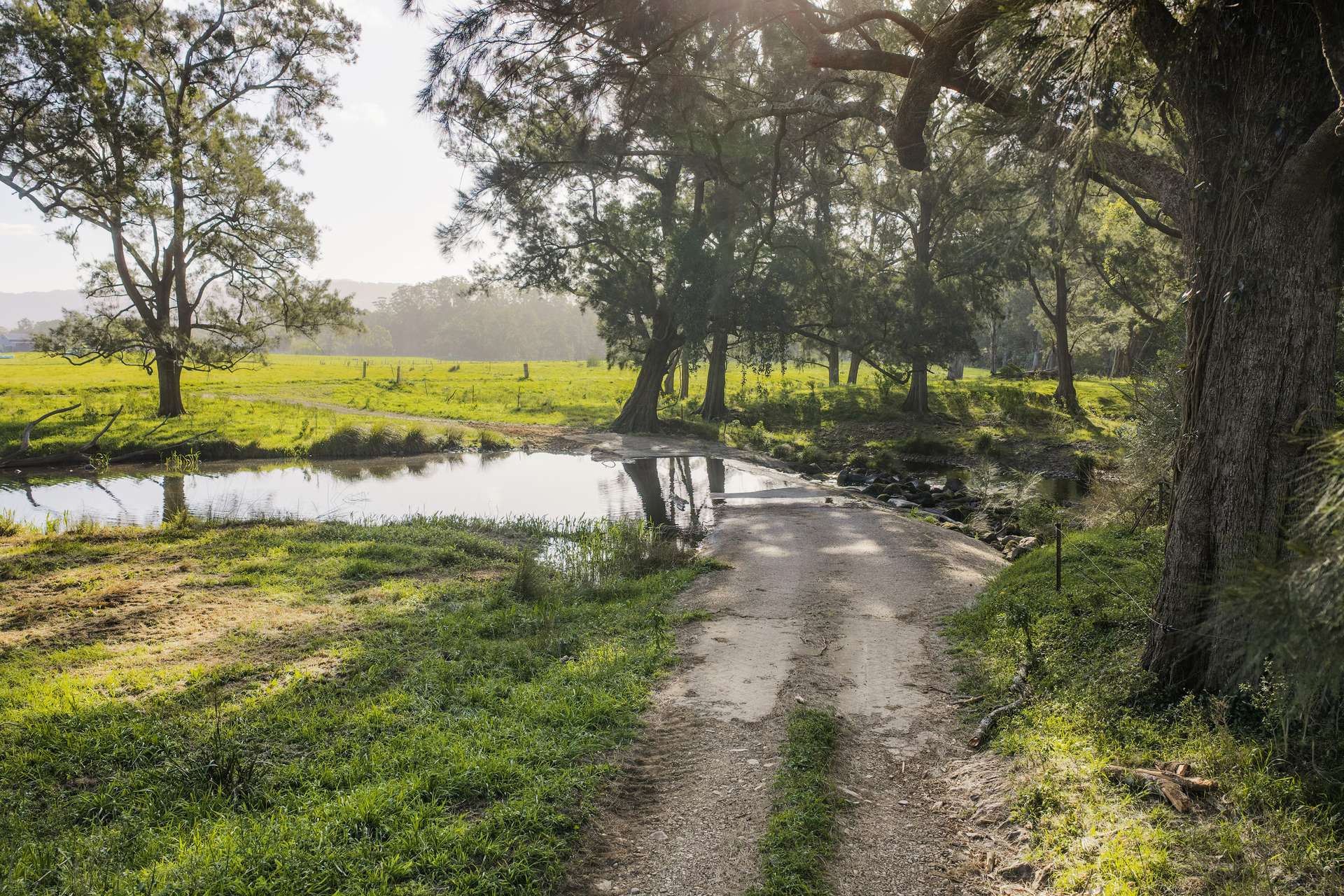 'Athelglow' A200B Princes Highway, Berry For Sale by Farmbuy.com - image 15