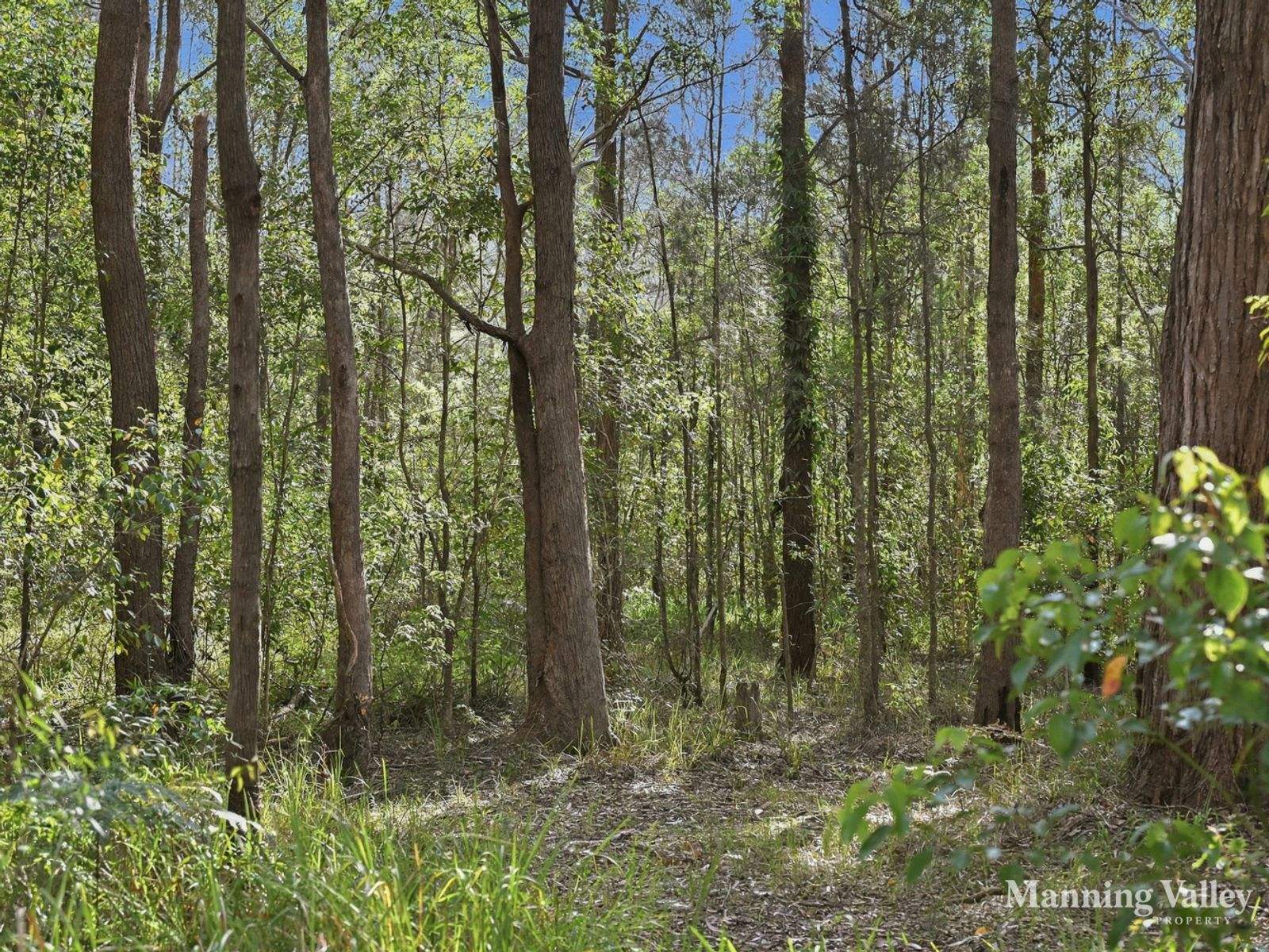 Lot 2 Gibsons Road, Coopernook Auction by Farmbuy.com - image 6