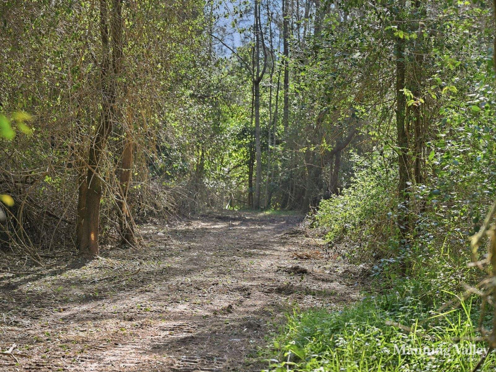 Lot 2 Gibsons Road, Coopernook Auction by Farmbuy.com - image 3