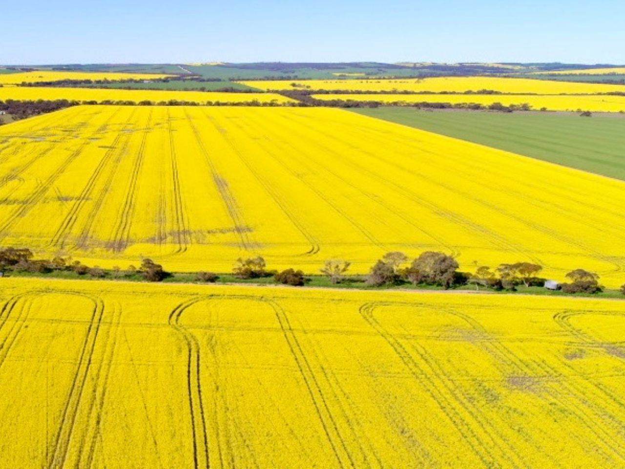 474 Pub Corner Road, Cockaleechie For Sale by Farmbuy.com - image 11